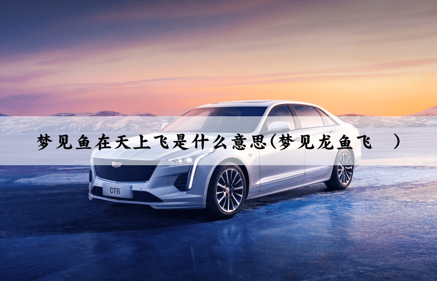 梦见鱼在天上飞是什么意思(梦见龙鱼飞	)