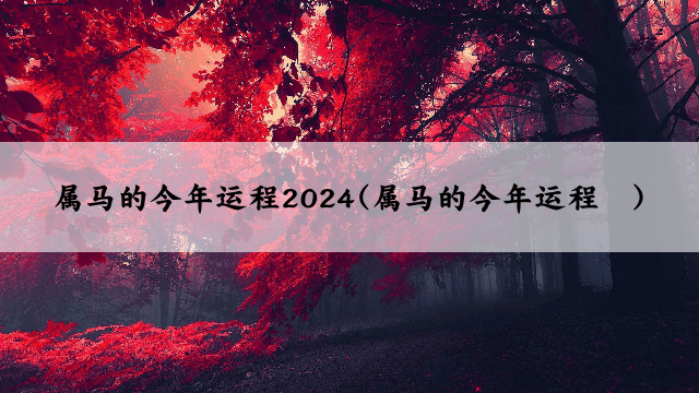 属马的今年运程2024(属马的今年运程	)