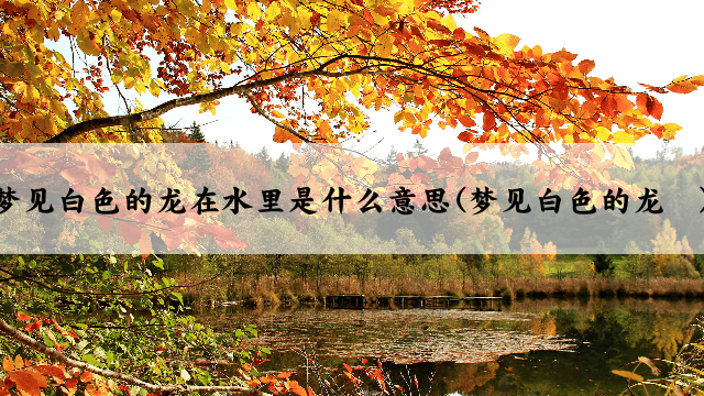 梦见白色的龙在水里是什么意思(梦见白色的龙	)