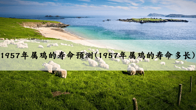 1957年属鸡的寿命预测(1957年属鸡的寿命多长)