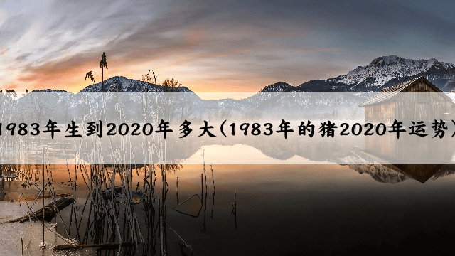 1983年生到2020年多大(1983年的猪2020年运势)