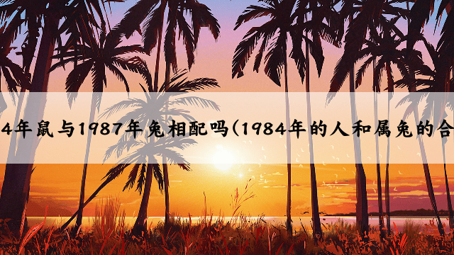 1984年鼠与1987年兔相配吗(1984年的人和属兔的合吗)