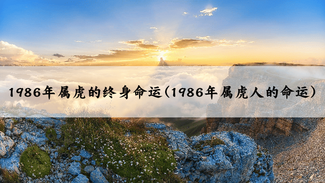 1986年属虎的终身命运(1986年属虎人的命运)