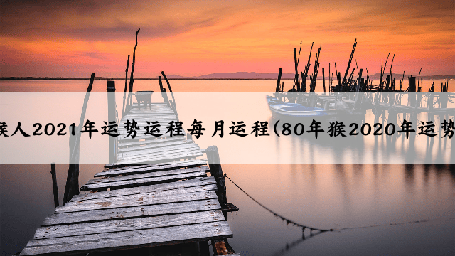 80属猴人2021年运势运程每月运程(80年猴2020年运势如何)