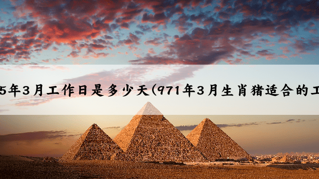 2025年3月工作日是多少天(971年3月生肖猪适合的工作)