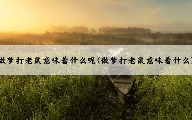 做梦打老鼠意味着什么呢(做梦打老鼠意味着什么)