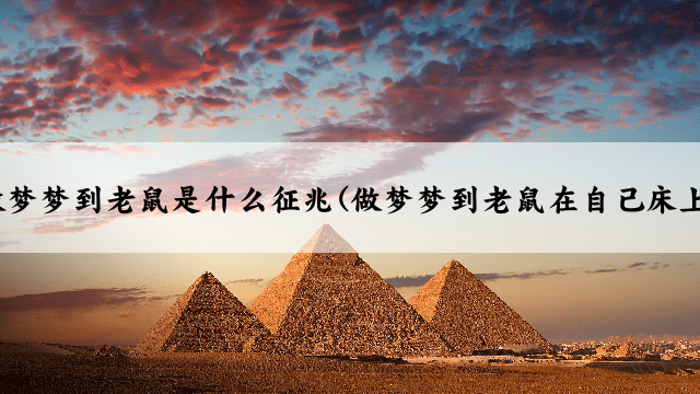 做梦梦到老鼠是什么征兆(做梦梦到老鼠在自己床上)