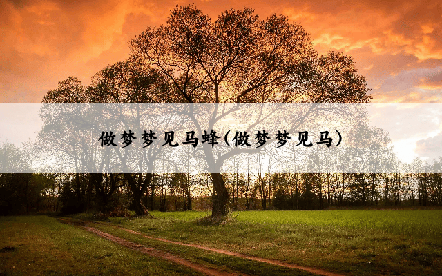 做梦梦见马蜂(做梦梦见马)