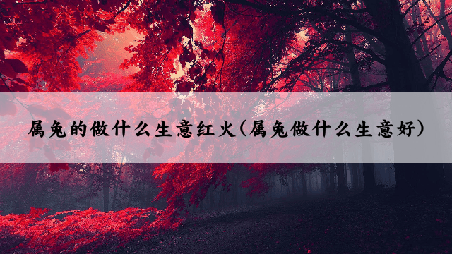 属兔的做什么生意红火(属兔做什么生意好)