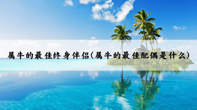 属牛的最佳终身伴侣(属牛的最佳配偶是什么)