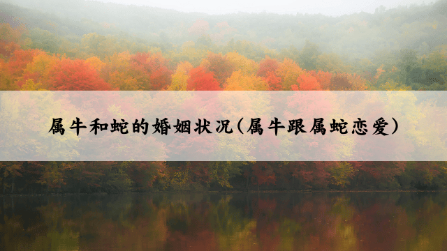属牛和蛇的婚姻状况(属牛跟属蛇恋爱)