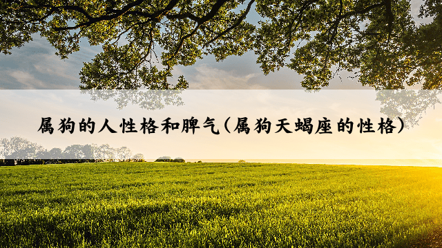 属狗的人性格和脾气(属狗天蝎座的性格)