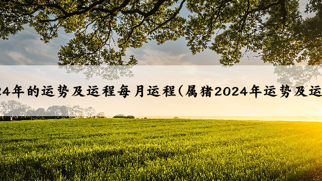 属猪2024年的运势及运程每月运程(属猪2024年运势及运程详解)