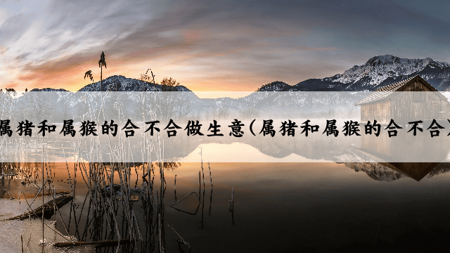 属猪和属猴的合不合做生意(属猪和属猴的合不合)