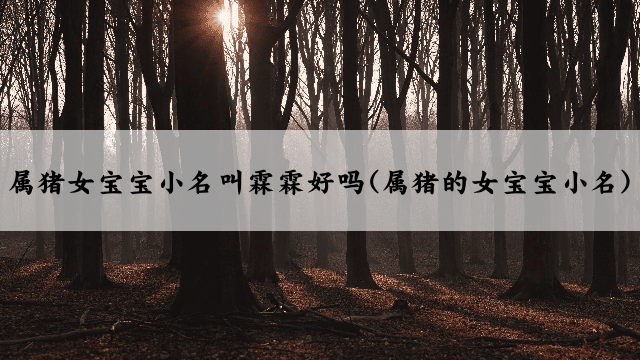 属猪女宝宝小名叫霖霖好吗(属猪的女宝宝小名)