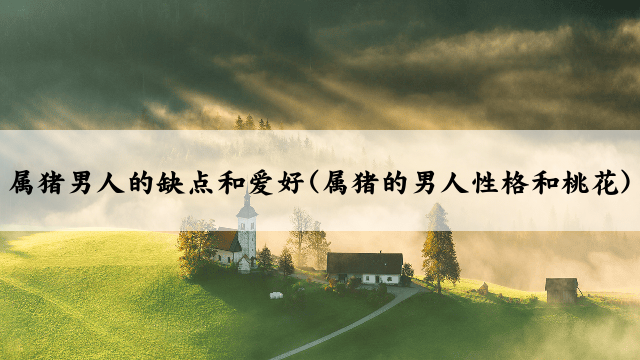 属猪男人的缺点和爱好(属猪的男人性格和桃花)
