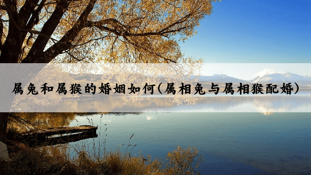 属兔和属猴的婚姻如何(属相兔与属相猴配婚)