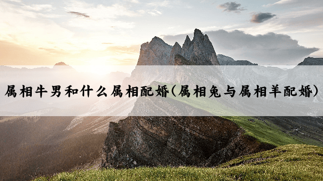 属相牛男和什么属相配婚(属相兔与属相羊配婚)
