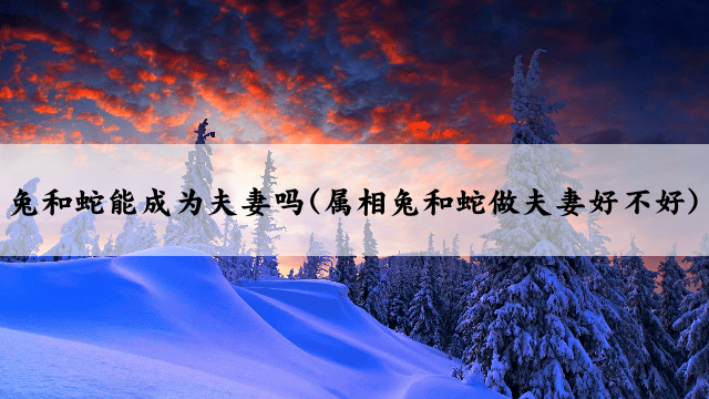 兔和蛇能成为夫妻吗(属相兔和蛇做夫妻好不好)