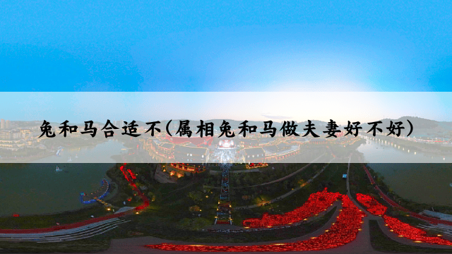 兔和马合适不(属相兔和马做夫妻好不好)