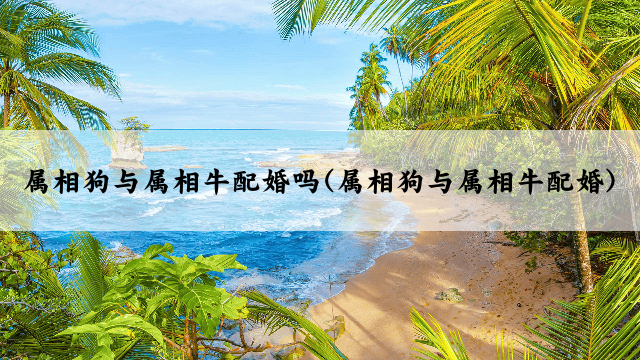 属相狗与属相牛配婚吗(属相狗与属相牛配婚)