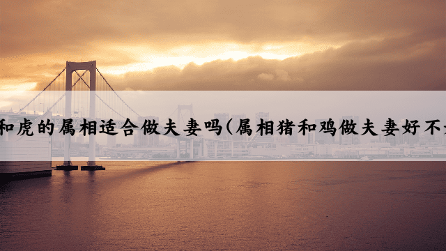 鸡和虎的属相适合做夫妻吗(属相猪和鸡做夫妻好不好)