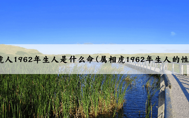 属虎人1962年生人是什么命(属相虎1962年生人的性格)