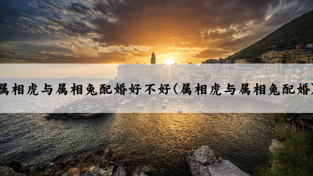 属相虎与属相兔配婚好不好(属相虎与属相兔配婚)