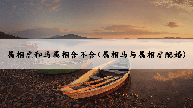 属相虎和马属相合不合(属相马与属相虎配婚)