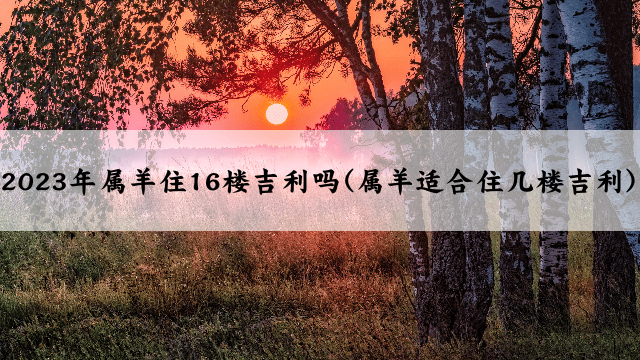2023年属羊住16楼吉利吗(属羊适合住几楼吉利)