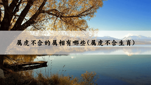 属虎不合的属相有哪些(属虎不合生肖)