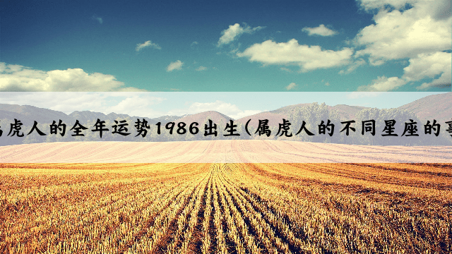 2025年属虎人的全年运势1986出生(属虎人的不同星座的事业发展)