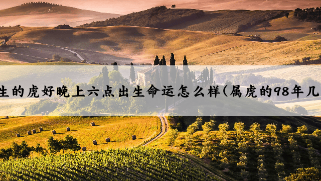 98年几点出生的虎好晚上六点出生命运怎么样(属虎的98年几点出生命好)