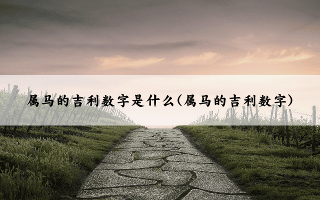 属马的吉利数字是什么(属马的吉利数字)