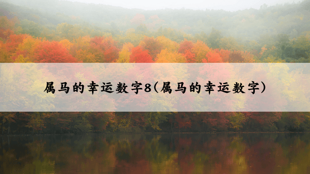 属马的幸运数字8(属马的幸运数字)