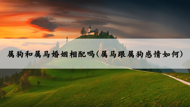 属狗和属马婚姻相配吗(属马跟属狗感情如何)