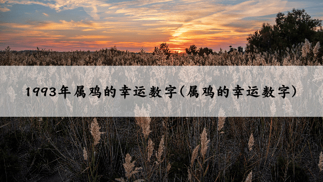 1993年属鸡的幸运数字(属鸡的幸运数字)