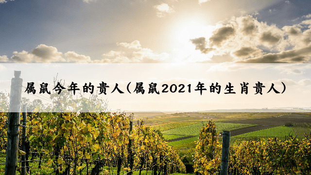 属鼠今年的贵人(属鼠2021年的生肖贵人)