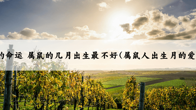 属鼠人出生月的命运 属鼠的几月出生最不好(属鼠人出生月的爱情、工作特点)
