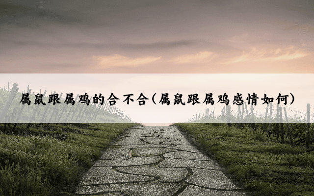 属鼠跟属鸡的合不合(属鼠跟属鸡感情如何)