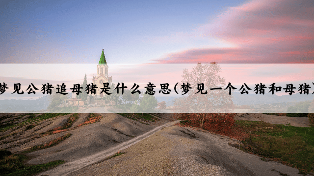 梦见公猪追母猪是什么意思(梦见一个公猪和母猪)