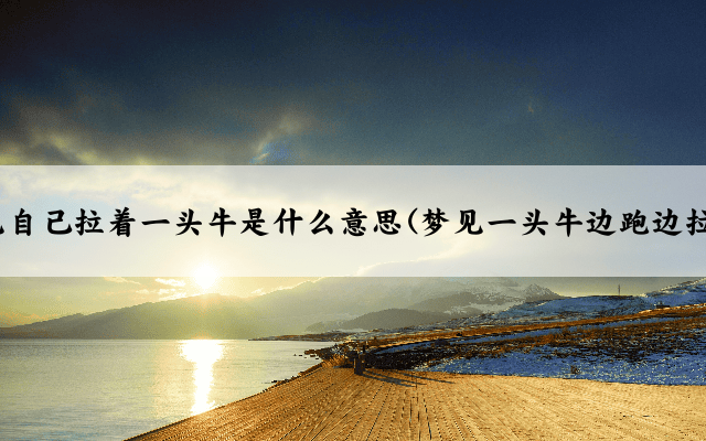 梦见自己拉着一头牛是什么意思(梦见一头牛边跑边拉屎)