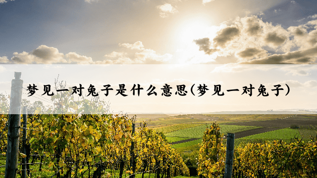 梦见一对兔子是什么意思(梦见一对兔子)