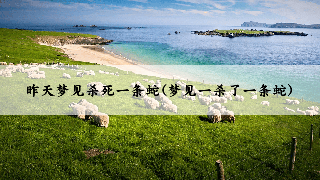 昨天梦见杀死一条蛇(梦见一杀了一条蛇)
