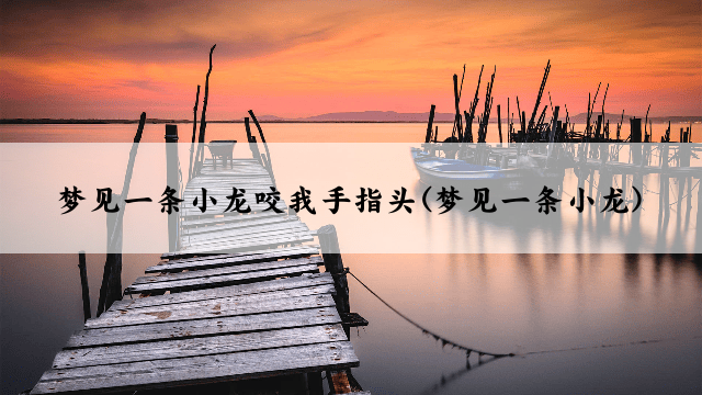 梦见一条小龙咬我手指头(梦见一条小龙)