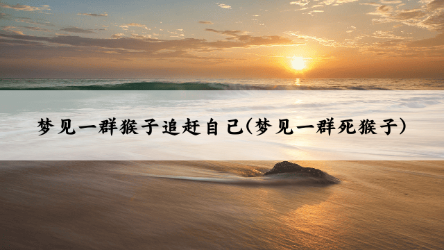 梦见一群猴子追赶自己(梦见一群死猴子)