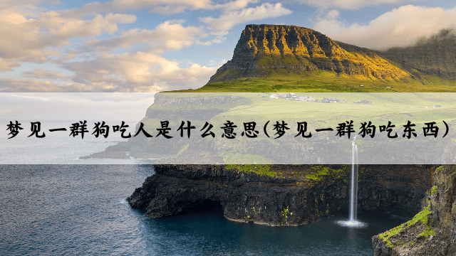 梦见一群狗吃人是什么意思(梦见一群狗吃东西)