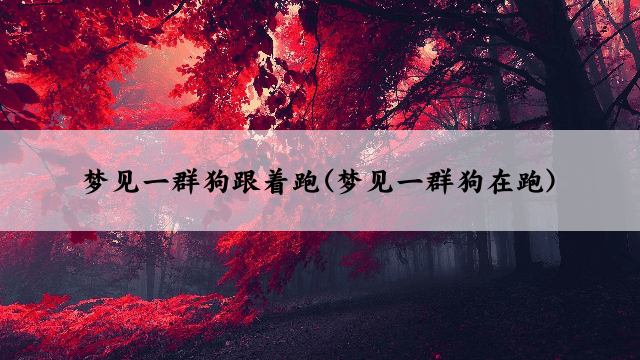 梦见一群狗跟着跑(梦见一群狗在跑)