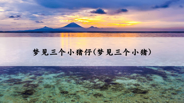 梦见三个小猪仔(梦见三个小猪)