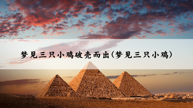 梦见三只小鸡破壳而出(梦见三只小鸡)